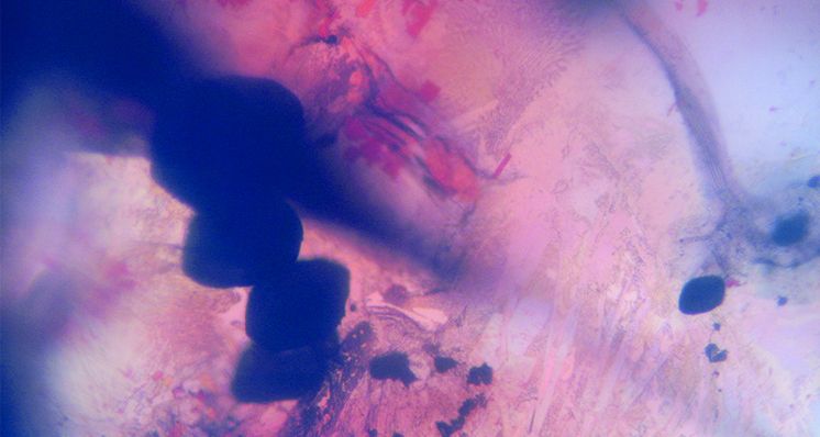 Zircon from Vietnam: Properties and Heat Treatments