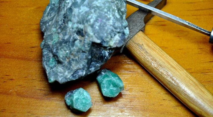 Field Trip: The ‘Emerald Desert’ in Western Australia