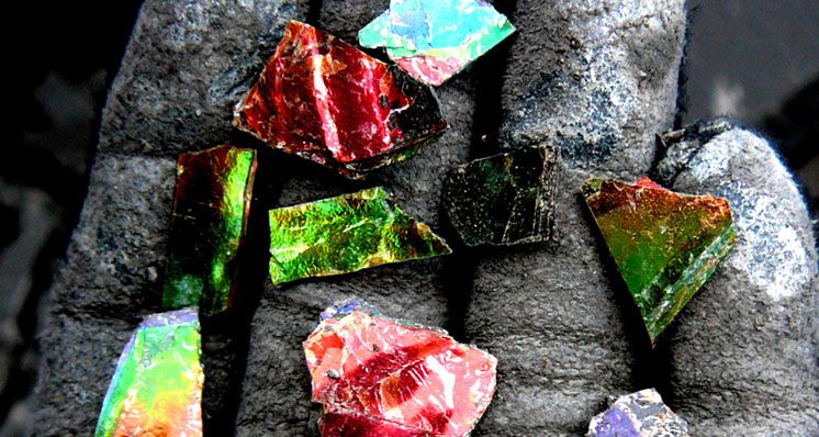 Investigating Ammolite with Canadian Mining Specialist Korite