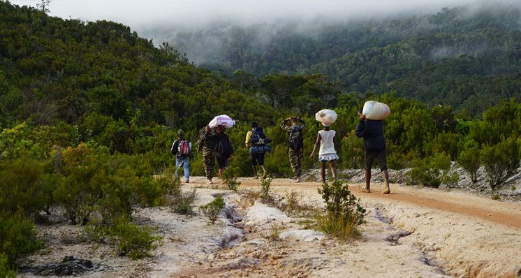 The Lifecycle Of A Sapphire Rush