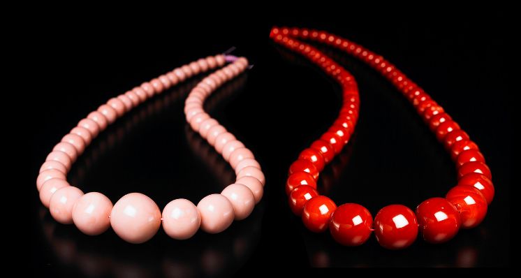 Breaking down the Misunderstandings about Precious Coral