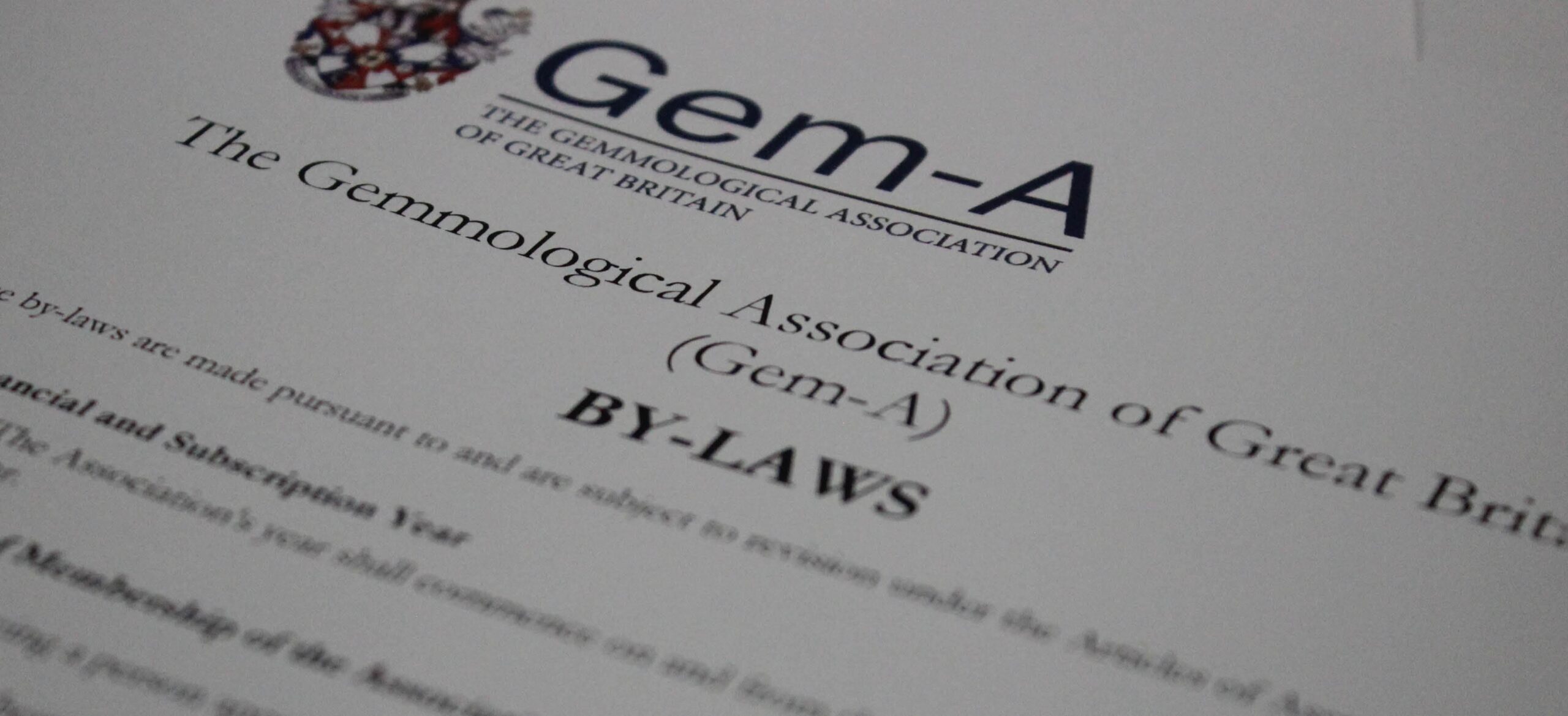 Governance - Governance - bylaws web1 scaled