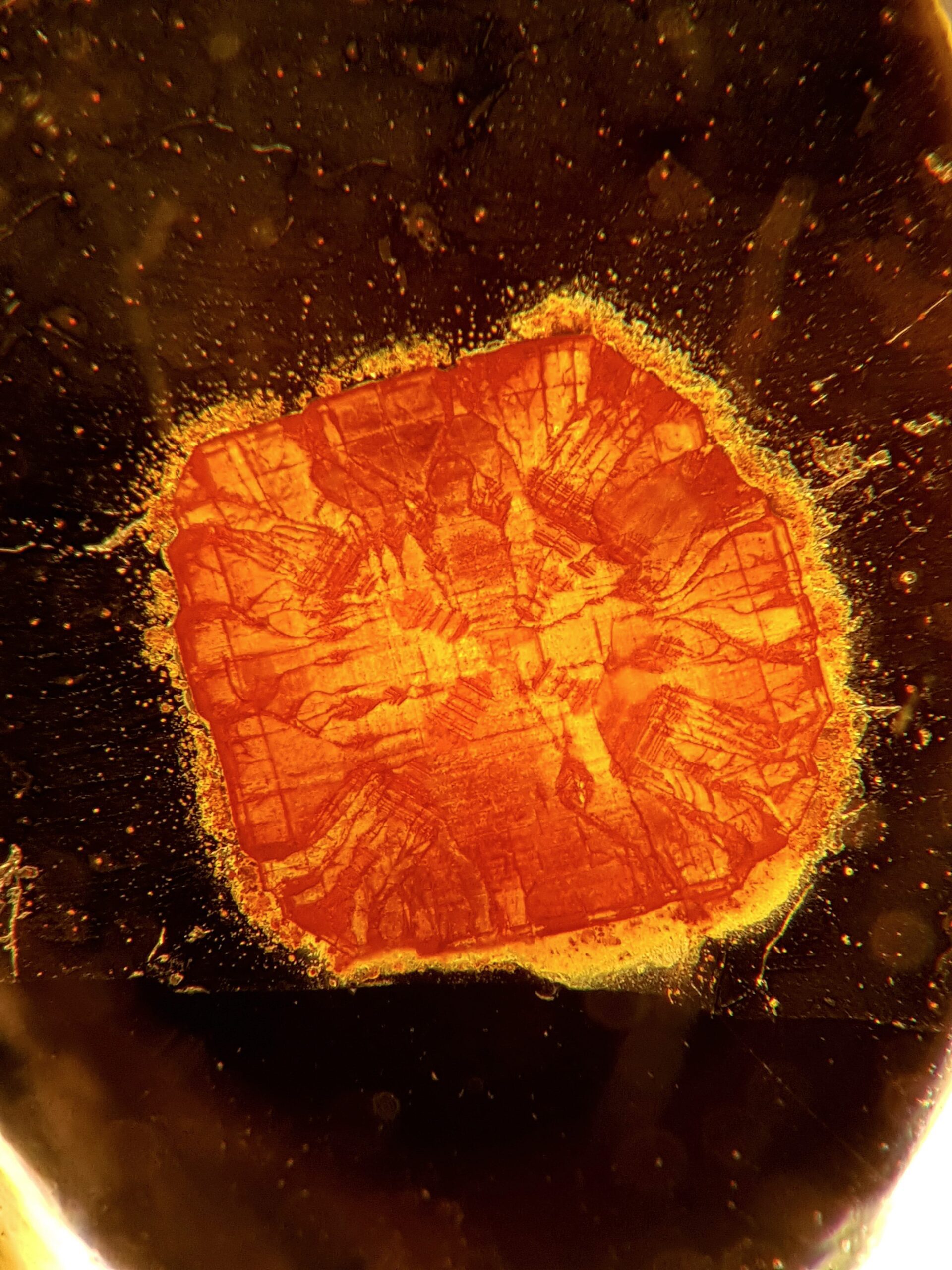 Gem-A Photographer of the Year Competition Now Open for Entries - - Evgenios Petrides Microchip min scaled