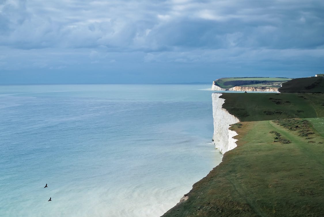 Branches - Branches - pexels photo 10282878