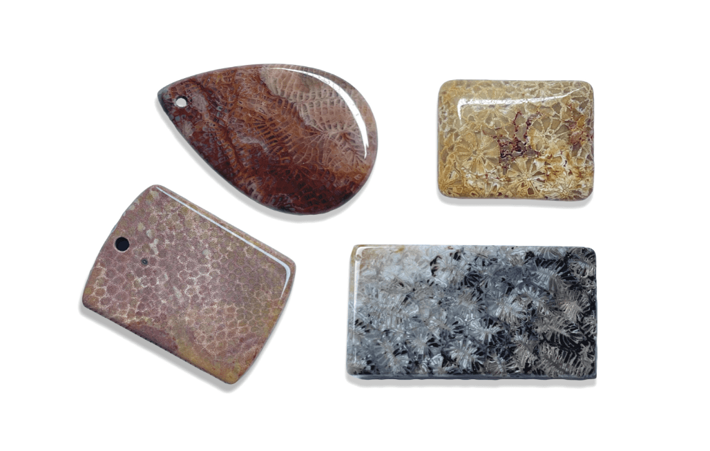 PRESS RELEASE - Gem-A Launches Spring 2024 Issue of The Journal of Gemmology Focusing on Silicified Coral from Indonesia - The Journal of Gemmology,Silicified Coral from Indonesia - Silicified Coral. Composite photo by J. Liu