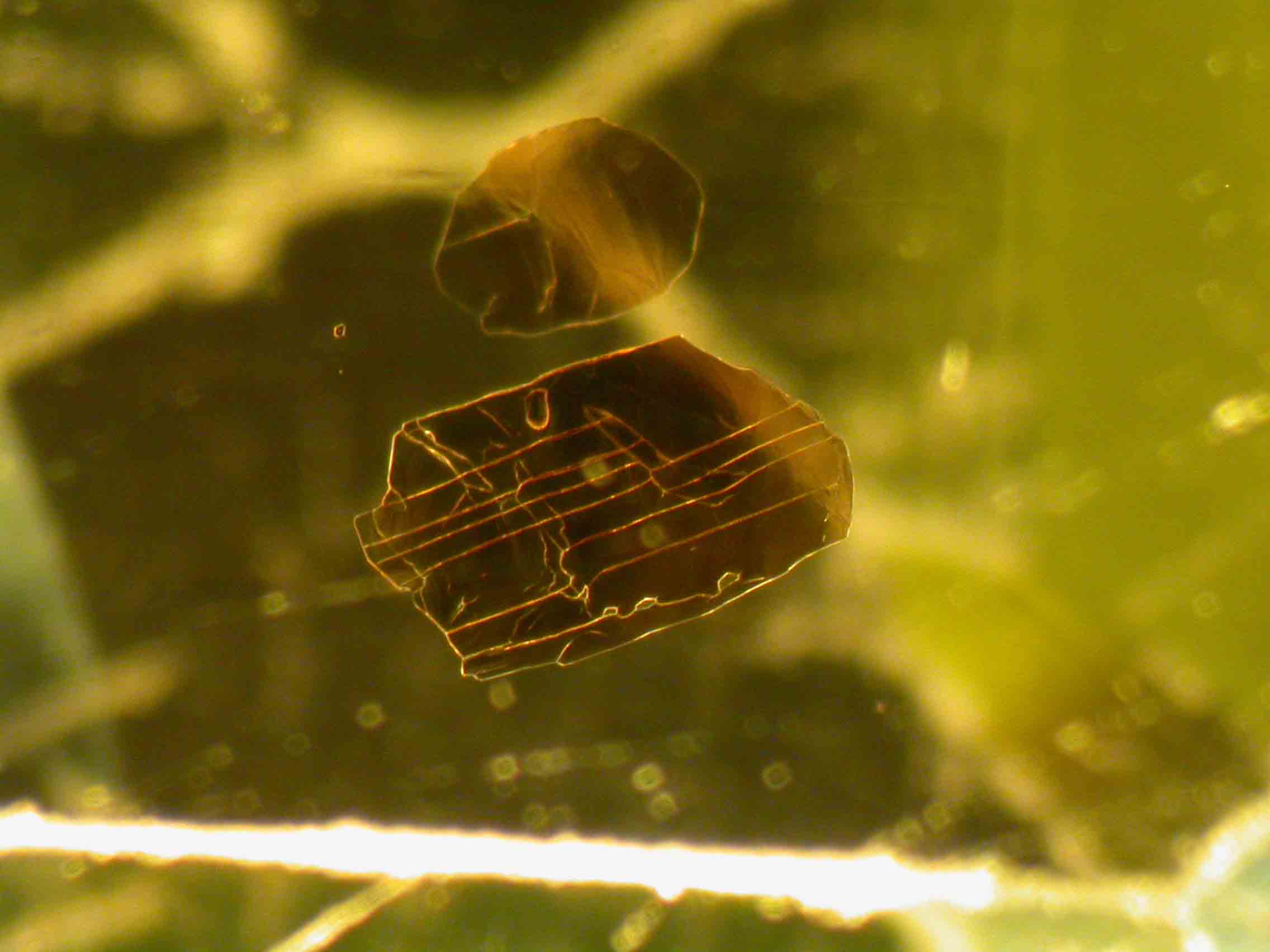 Gemmology Insights: Why is Peridot Described as Oily? - Peridot,oily - Peridot Biotite Inclusion 6538 PD