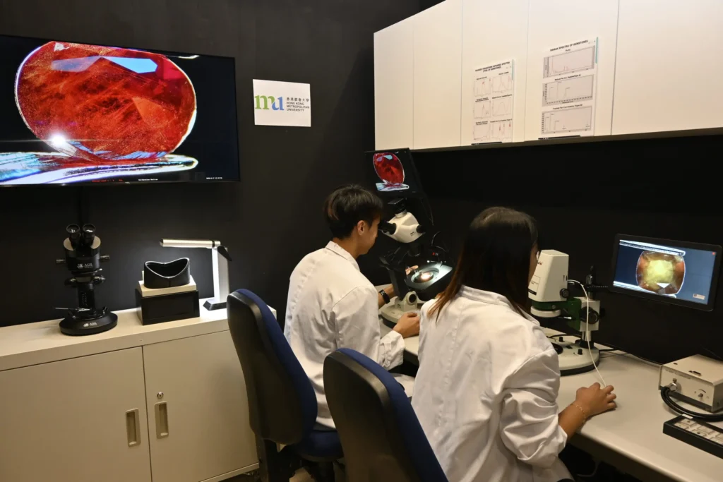 Further Study - further study - hkmu scaled 1