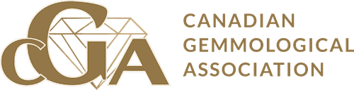 Conference 2026 - - Primary Gold 2